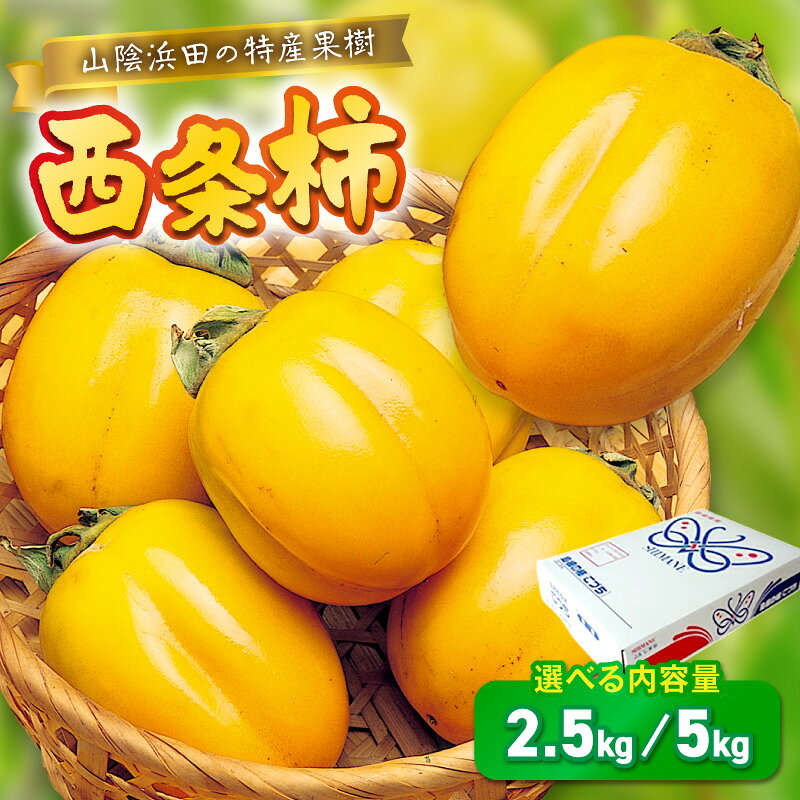 【ふるさと納税】【先行予約】山陰浜田の特産果樹「西条柿」（あわせ柿）【2.5kg 5kg】 ＜10月上旬以降のお届け＞ 選べる 内容量