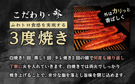 訳あり 国産 うなぎ 1食 パック 合計1kg 山椒 付き タレ 30個 付 数量限定