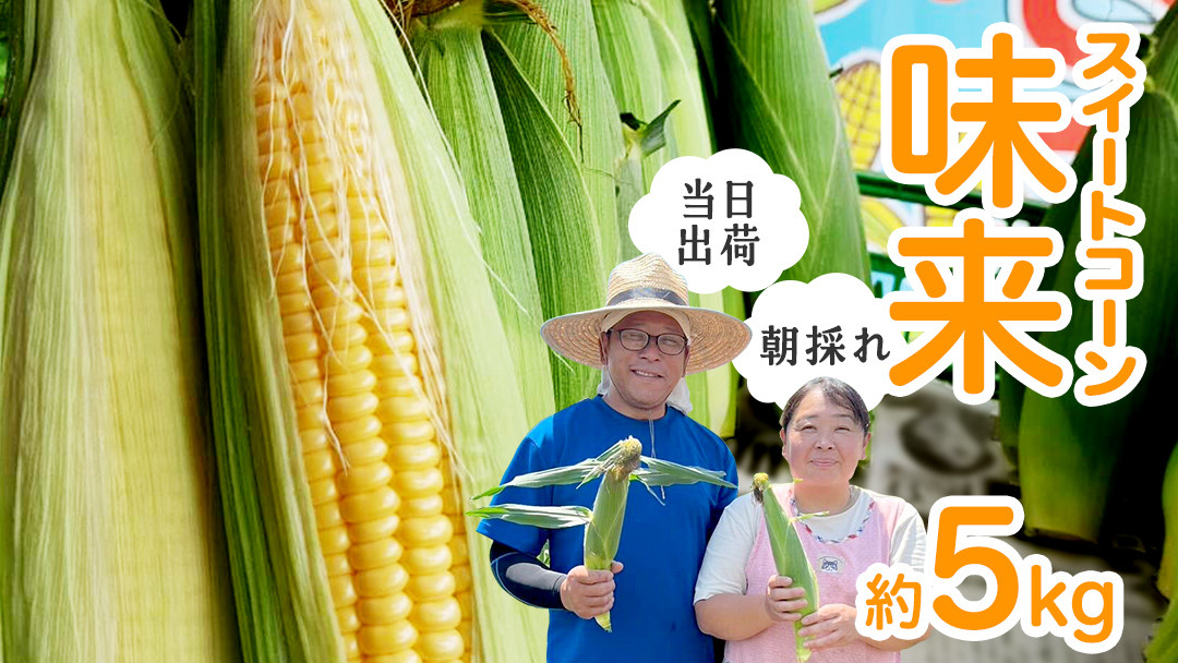 
            【 朝採れ 当日出荷 】  スイートコーン 「 味来 」 約5kg 甘い 新鮮 皮付き トウモロコシ とうもろこし コーン 野菜 [DX002ci]
          