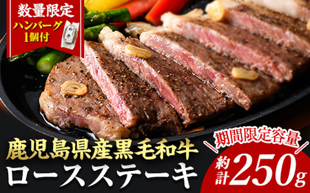 ＜14営業日以内に発送！＞＜1枚・計約250g＋ハンバーグ1個＞4等級以上！鹿児島県産黒毛和牛ロースステーキ1枚セット 黒毛和牛 ステーキ 冷凍【ナンチク】B1-01-v04