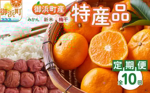 丸安青果の御浜町産特産品（全10回）【定期 定期便 10回 果物 フルーツ みかん 米 お米 梅干し 梅干 三重県 御浜町】