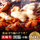 【ふるさと納税】長崎牛 割腸 (小腸) 焼肉・ホルモン鍋 用 600g / ホルモン 牛肉 もつ鍋 南島原市 / はなぶさ [SCN060]