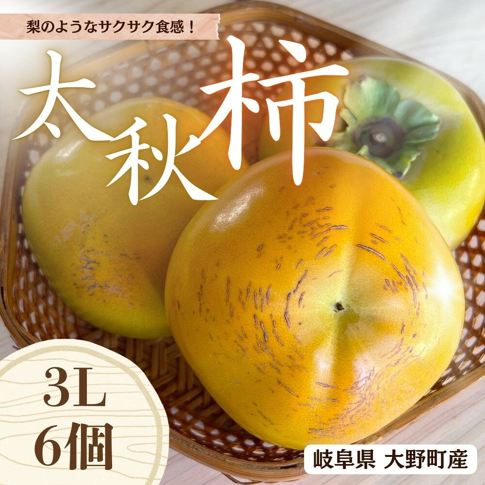 【ふるさと納税】【先行予約】 梨のような食感！ Farm m&aの太秋柿 3L×6個 秀品 岐阜県 大野町（2026年10月中旬～発送）農家直送 果物 フルーツ 秋の味覚 柿 かき 太秋 たいしゅう | 柿 かき カキ 富有柿 岐阜の柿 甘柿 果物 大野町 特産品