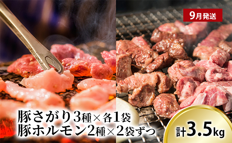 北海道上富良野 容量満足ボリューム定期便 メロン 豚 ホルモン サガリ 炭酸水 ビール