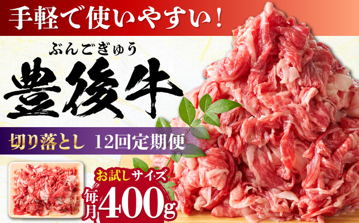 
            【全12回定期便】【お試しにピッタリ！】 おおいた豊後牛 牛肉 切り落とし 400g 日田市 / 株式会社MEAT PLUS　肉 牛肉 和牛 [AREI040]
          