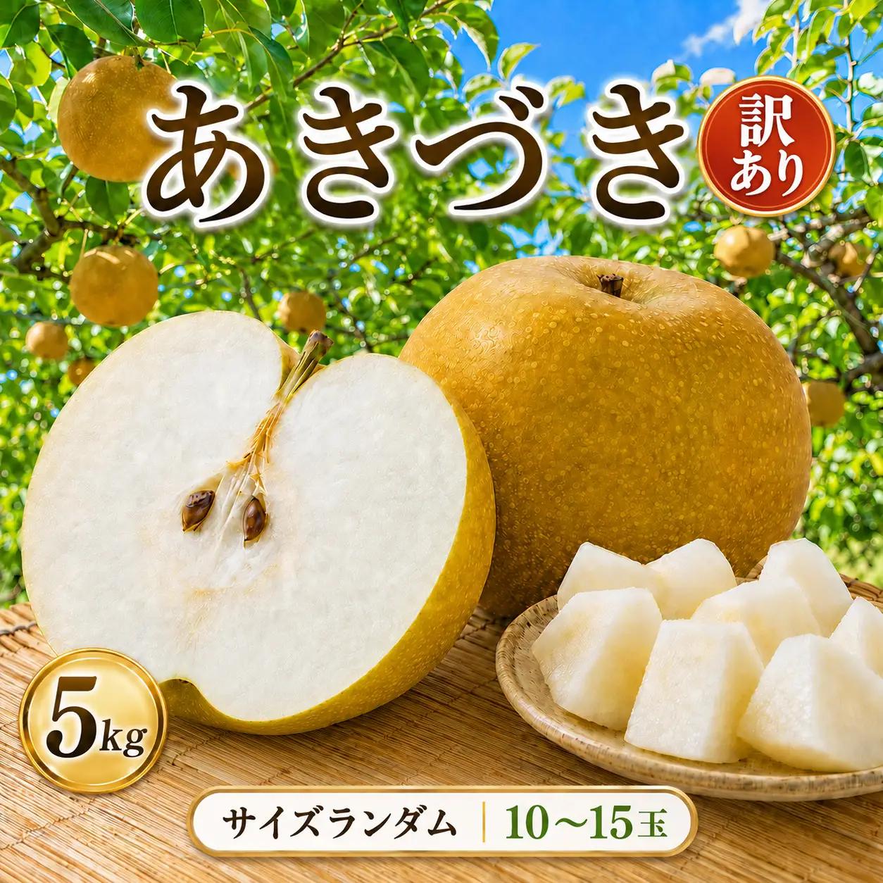  訳あり! サイズランダム あきづき 約5kg 梨 栃木県共通返礼品(栃木県産)