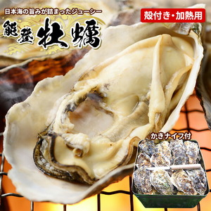 牡蠣 加熱用能登かき 殻付き・半斗缶［約40～50個］｜牡蠣 カキ 牡蠣 カキ 牡蠣 カキ かき 牡蠣 牡蠣 能登 復興支援