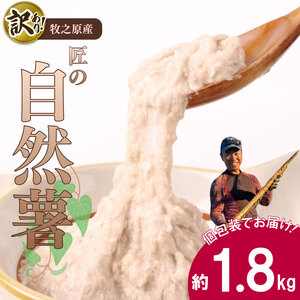 訳あり 自然薯 1.8kg  個包装 静岡県 牧之原市 自然薯 たくみファーム