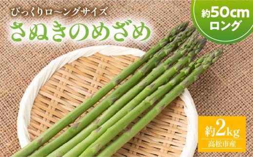 びっくりロ～ングサイズ さぬきのめざめロング約50cm 約2kg【2026-2月中旬～2026-4月下旬配送】 372013_T006-300J