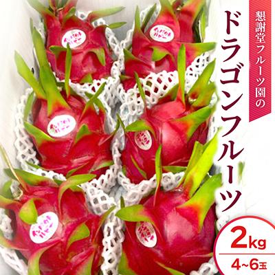 ふるさと納税 今帰仁村 【2026年7月下旬から順次発送】懇謝堂フルーツ園のドラゴンフルーツ2kg(4〜6玉)