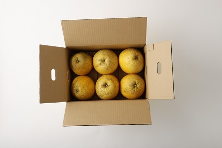 先行予約 河内晩柑 ジューシーオレンジ 約4.5kg 【髙橋果樹園】【2026年4月上旬から2026年6月下旬順次発送予定】晩柑 熊本県 宇城市 宇城市産河内晩柑 熊本県産河内晩柑 国産河内晩柑 