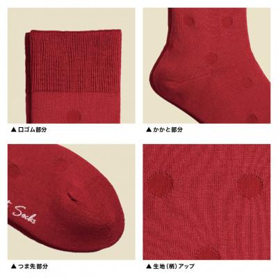 ふるさと納税 葛城市 セレクトソックス <ドット> 4色組 メンズ 靴下 |  | 02