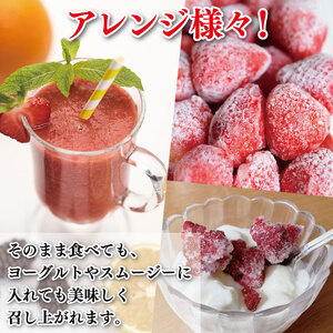 訳あり いちご 冷凍 苺 1.4kg いちご