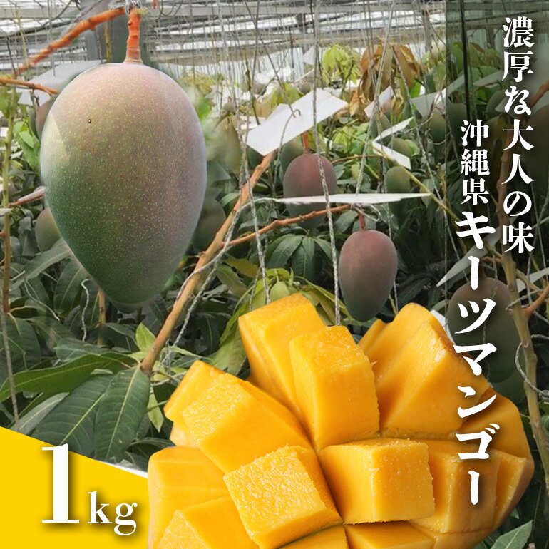 【ふるさと納税】【 先行予約 2025年 発送 】 濃厚な大人の味 沖縄県「 キーツマンゴー 」1kg 沖縄県産 マンゴー 1キロ 緑色 希少 国産 果物 南国 くだもの フルーツ 夏 旬 特産品 沖縄 お取り寄せ 産地直送 農家直送 甘い 濃厚 糸満市 送料無料