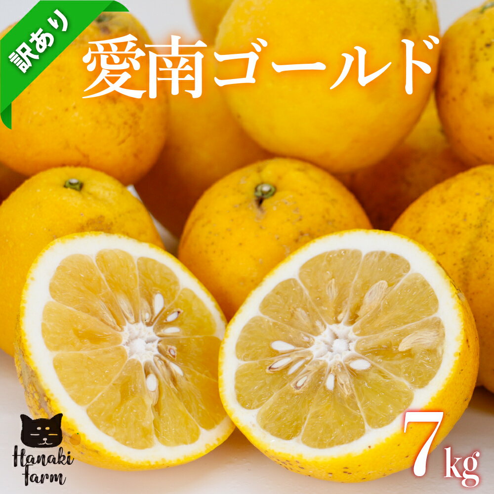 【ふるさと納税】 訳あり 愛南ゴールド 7kg 河内晩柑 サイズミックス みかん 蜜柑 柑橘 果物 フルーツ 傷 シミ 愛南ゴールド アイス ゼリー ジュース 国産 愛媛 愛南町 はなき農園