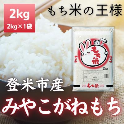ふるさと納税 登米市 令和7年産　宮城県登米市産みやこがねもち(精米)2kg