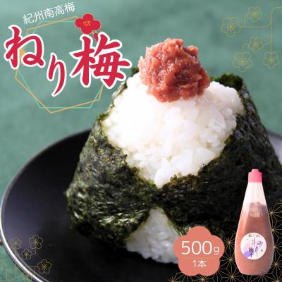 ふるさと納税 田辺市 ねり梅500g(1本)【ktk030】