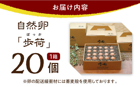 放し飼い 自然卵 「歩荷」 箱20個入 / 卵 たまご 鶏卵 玉子 平飼い / 稲沢市 / 平飼い自然卵歩荷 [BMBM001]