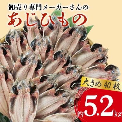 ふるさと納税 沼津市 大きめアジ干物 40枚(約5.2kg)1枚あたり130g前後