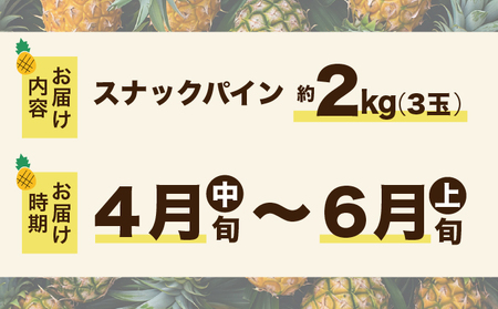 2024年 先行予約 スナックパイン 約2kg 3玉 西表島ひらい農園 パイナップル 果物 フルーツ パイン