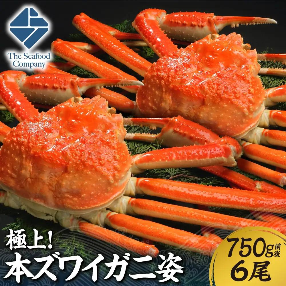 極上！本ズワイ蟹の姿　750g　6尾 かに ズワイガニ 北海道 札幌市|かに ズワイガニ 北海道 札幌市 北海道 札幌市