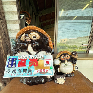 浅海農園　市川のブランド梨　幸水3kg　【12203-0086】