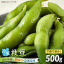 【ふるさと納税】枝豆 500g 冷凍 旬の時期に急速冷凍 【福岡県糸島産】 糸島市 / オーガニックナガミツファーム 野菜 えだまめ[AGE042]