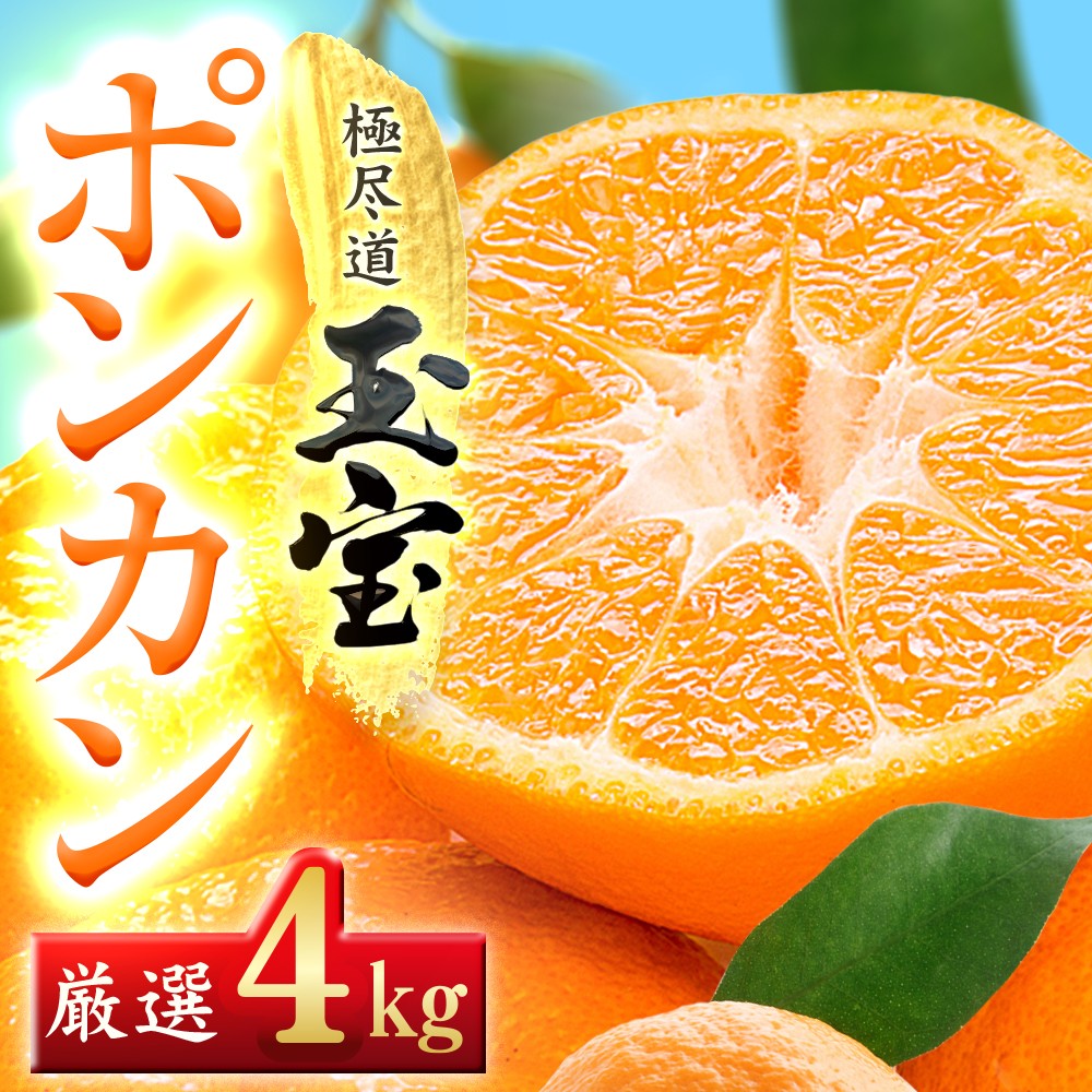 
                  ＜愛媛名産＞玉宝ポンカン　4kg＜C64-65＞【1621807】 YWTY054
                