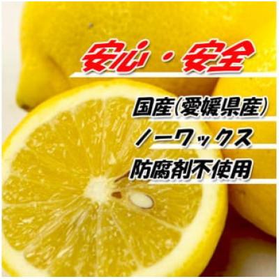 ふるさと納税 松山市 レモン サイズ不揃い 約2kg【訳あり】 |  | 01