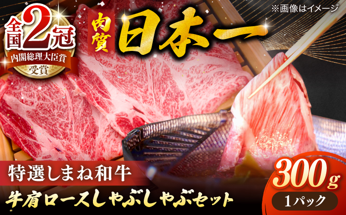 肉質日本一！特選しまね和牛しゃぶしゃぶセット(300g×1パック) 人気 おすすめ 島根県松江市/株式会社かがり陽 [ALGP004]