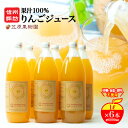 【ふるさと納税】【果汁100%】 信州産りんごジュース （1L×6本） 長野県産 産地直送 ギフト 【80-01】