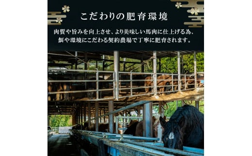 【阿蘇牧場】国産 日本産 熊本肥育 熊本と畜 馬刺し 阿蘇 熊本 小国 赤身 上赤身 小分け 馬肉 1000g 1kg 馬刺し醤油 専用たれ付 真空パック