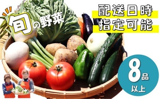 
                   旬の 野菜セット B 《 8品 以上》 野菜 やさい 詰め合わせ 旬の野菜 地域応援 くろいわ産地直売所  岩手県 北上市 C0459
                