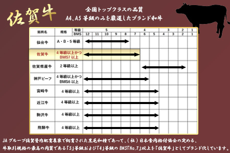 A4～A5等級限定 佐賀牛リブロースステーキ 300g×2枚(合計600g) A4 A5 国産 牛肉 霜降り ブランド牛 ステーキ BBQ 焼肉 キャンプ アウトドア 贈り物 ギフト「2024年 令和