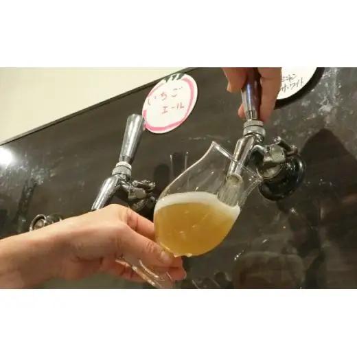 【松戸ビール】旬の地ビール 3本セット