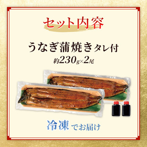 うなぎ 特大 蒲焼き 約230g前後 2尾 うなぎ