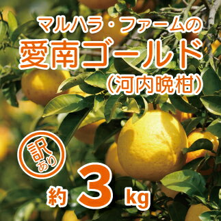 【ふるさと納税】 お試し用 訳あり 河内晩柑 3kg サイズミックス 5000円 みかん かわちばんかん ミカン mikan わけあり 愛南ゴールド あいなん ゴールド 美生柑 国産 減農薬 数量限定 特産品 人気 限定 小玉 含む 柑橘 蜜柑 少額 少量 規格外 マルハラファーム 愛南町 愛媛県