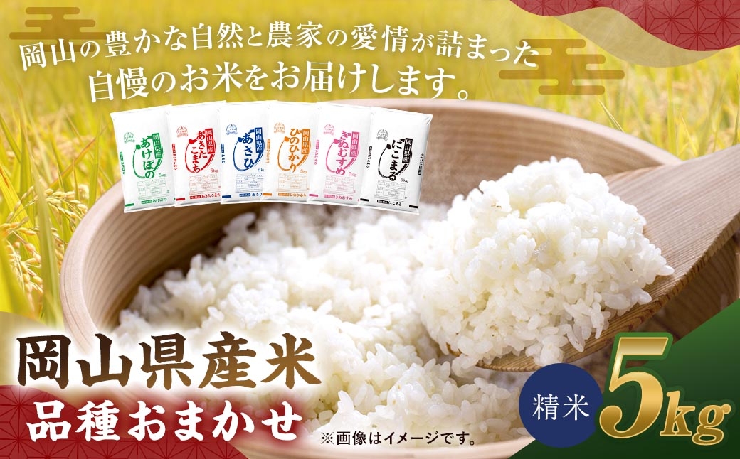 
                  【 令和8年産 】 岡山県産米 品種おまかせ 5kg × 1袋 お米 米 こめ コメ 白米 精米 白飯 飯 ご飯 きぬむすめ あきたこまち ひのひかり あけぼの にこまる あさひ おにぎり 和食 国産 ブランド米 ブランド 【 2026年11月上旬から2027年8月下旬迄発送予定 】
                