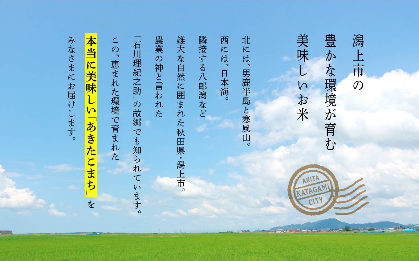 令和7年産 あきたこまち 10kg 精米 直送 米 お米 こめ おこめ コメ コスパ ブランド米 産地直送 贈り物 プレゼント おいしい お米 秋田こまち 秋田県潟上市 【鎌仁商店】