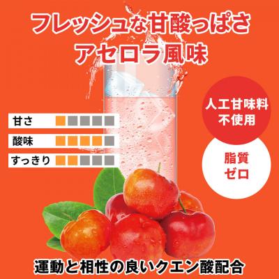 ふるさと納税 名古屋市 ハルクファクター EAA アセロラ風味 人工甘味料不使用 520g |  | 01