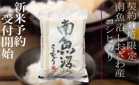 【新米予約・令和7年産】定期便6ヶ月：精米5Kg 契約栽培限定 南魚沼しおざわ産コシヒカリ【2025年10月上旬より順次発送予定】