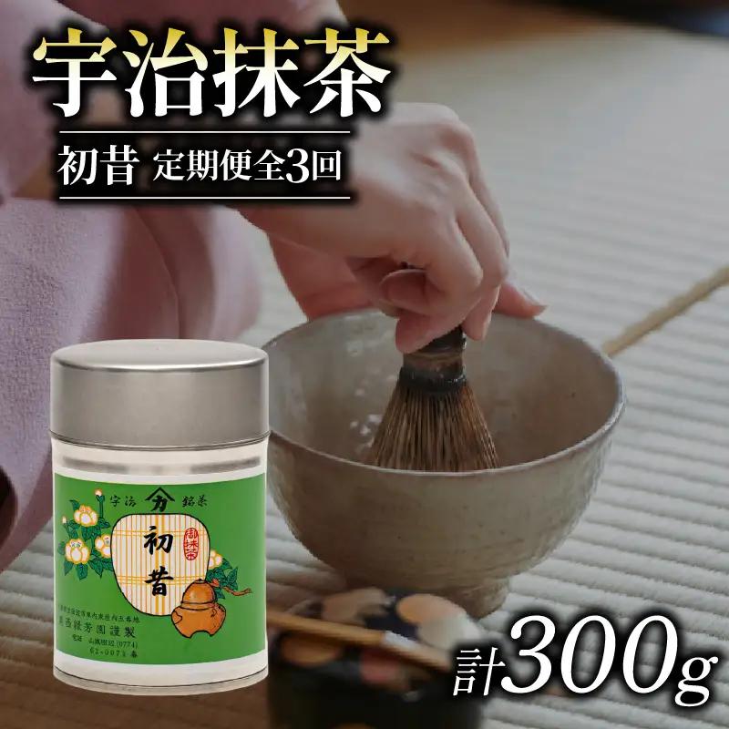 【皇室御用達】宇治抹茶「初昔」3ヶ月定期便 100g缶入り 抹茶 京都
