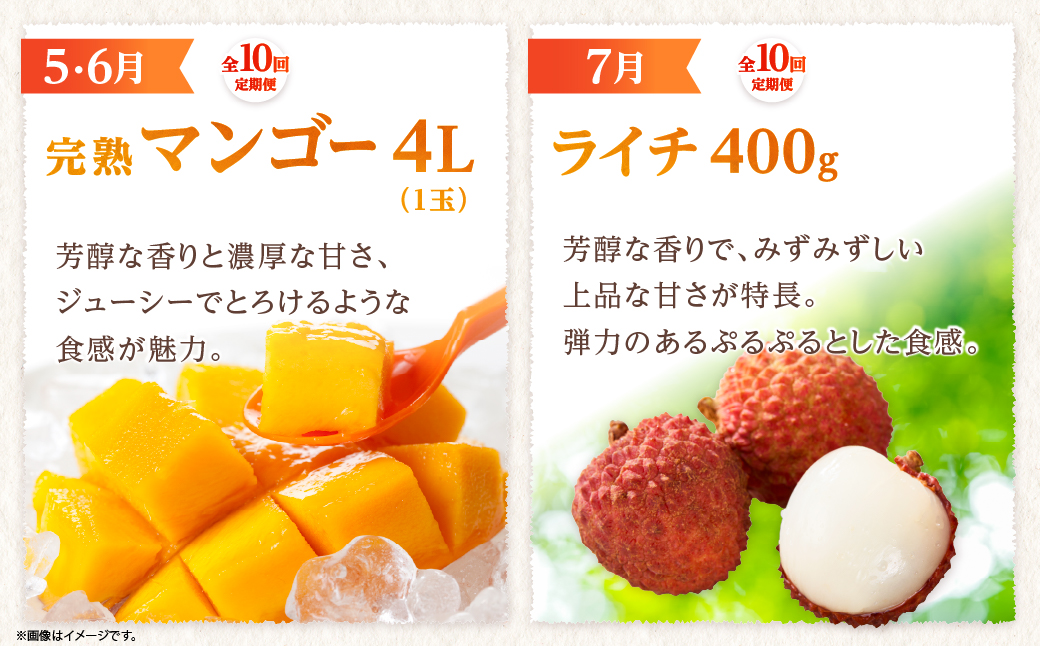 【全10回お届け】特選！！宮崎県綾町産 果物・野菜定期便 [Y21]_A0113-0041 全10回定期便