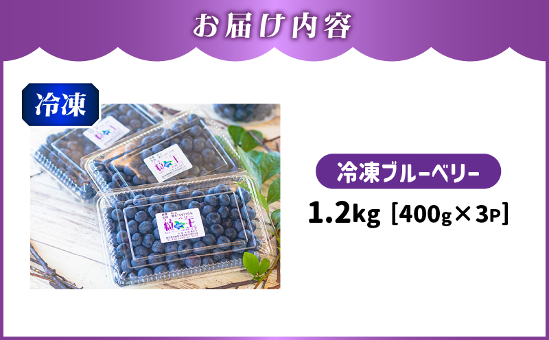 141-3 粒王 冷凍ブルーベリー 1.2kg（400g×3P）　KN030-002