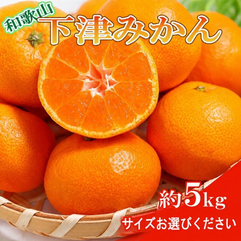 【ふるさと納税】【産直・秀品】和歌山下津みかん約5kg【選べるサイズ】＜2026年11月中旬～2027年1月中旬頃に順次発送＞ / みかん 柑橘 果物 果実 和歌山 下津 早生
