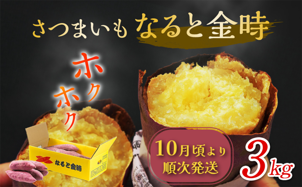 【 予約受付中・2024年10月頃より順次発送 】なると金時 3kg さつまいも 鳴門金時 箱入り サツマイモ 野菜 人気 ホクホク 鳴門のさつまいも