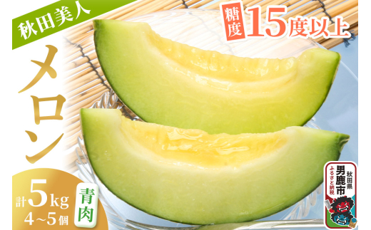 【先行受付】秋田美人メロン 4～5個 計5kg 甘みじゅうぶんの青肉メロン 糖度15度以上 ミツバチ交配 秋田県 男鹿市 JA秋田なまはげ