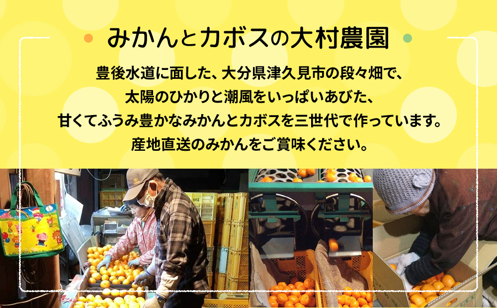 【先行予約】大村農園のみかん 不知火 5kg ミカン 蜜柑 オレンジ 果実 旬のフルーツ 大分県産 九州産 津久見市 国産