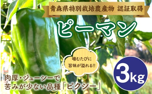 【青森県特別栽培】ピーマン 3kg ピクシー 【8月上旬～10月前半発送】