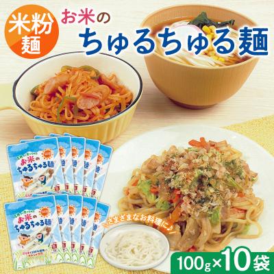 ふるさと納税 山形市 【米粉麺】お米のちゅるちゅる麺 100g×10袋 FY26-113